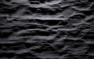 Black Ash optic lacquered - Alpi veneer